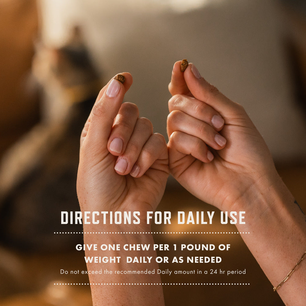 Rocco & Roxie Allergy Support for Cats