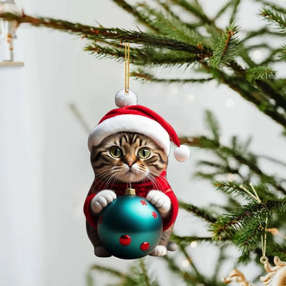 🎅🏻Christmas Cat Ornaments😻